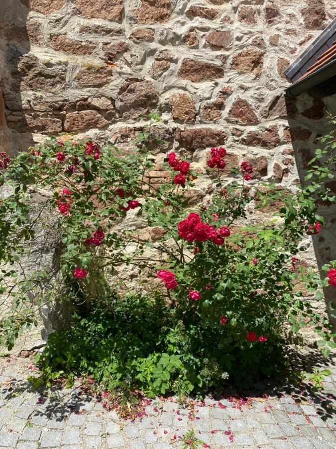 Gaestehaus Maelzerei Auf Schloss Neuburg Am Inn Εξωτερικό φωτογραφία