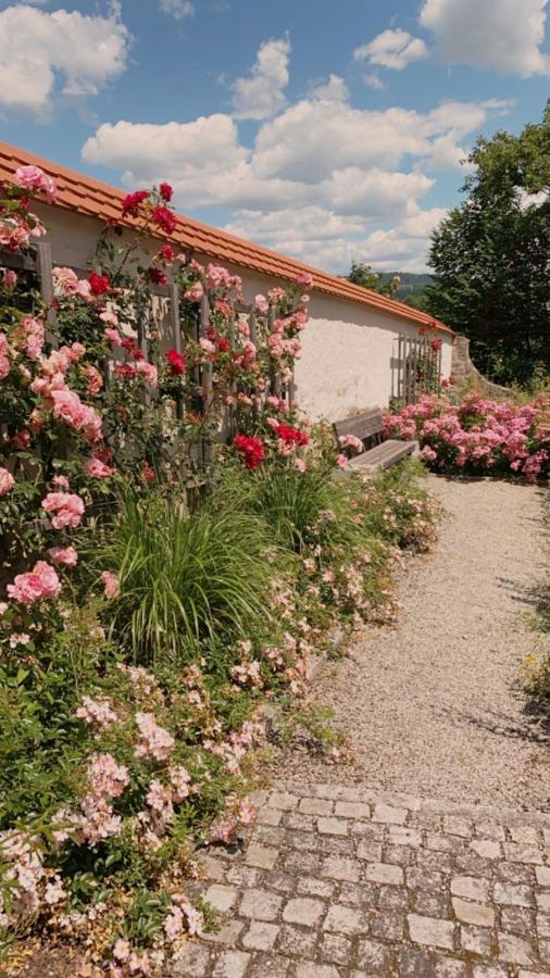 Gaestehaus Maelzerei Auf Schloss Neuburg Am Inn Εξωτερικό φωτογραφία